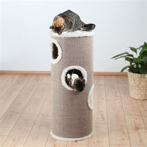 A Cat Laying On Top Of A Scratching Post