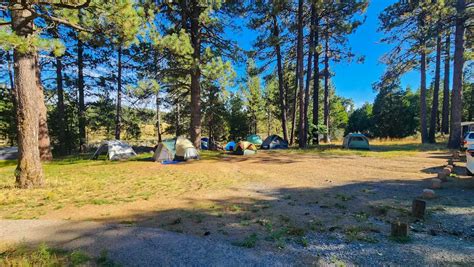 El Prado Group Campground Laguna Mountains Outdoor Socal