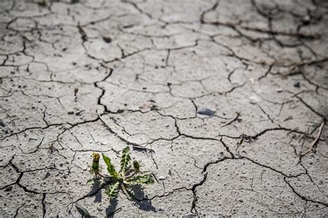 Onu Urge Al Mundo A Restaurar Mil Millones De Hect Reas De Tierra Degradada