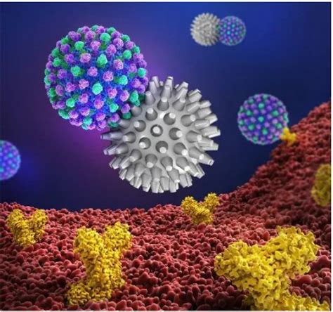 四川大学程冲研究员《sciadv》：多价高分子纳米制剂高效广谱抑制流感病毒腾讯新闻