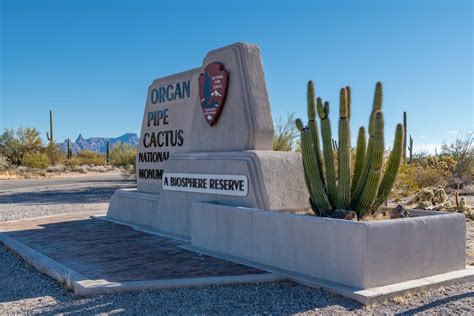 Organ Pipe Cactus National Monument - Amazing America