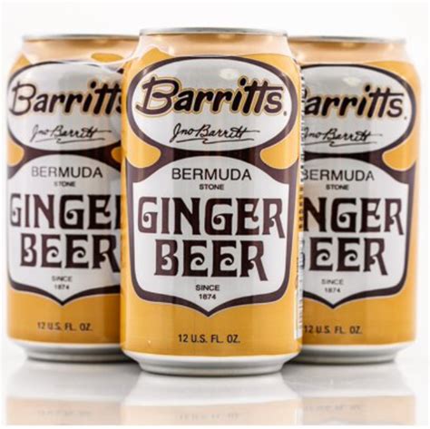 10 Best Ginger Beer Brands For Drinking And Mixing