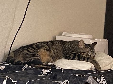 Nevada Debate Union - Home | Facebook