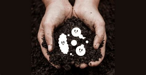 5 Ways Beneficial Microorganisms Improve Soil Health | TeraGanix