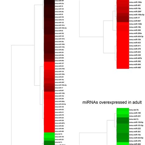 Mirna Expression Profile Differentially Expressed Mirnas Were