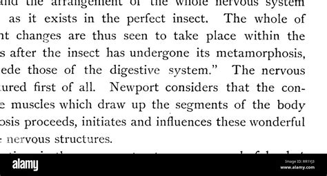 Les Transformations Ou M Tamorphoses D Insectes Les Insectes