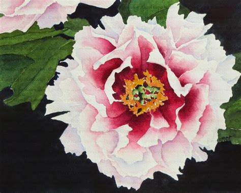 My Painting Room: new print: peony