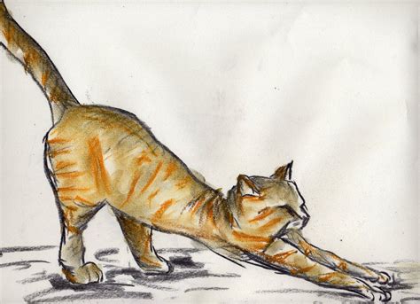 Stretching Cat By Squibblett On Deviantart Cats Cat Stretching Cat