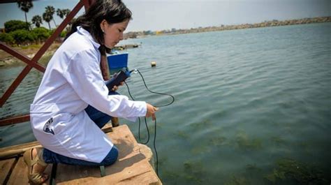 O que é Engenharia de Pesca e onde estudar Pescaria S A