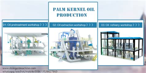 What machines are used in palm kernel oil extraction process ...