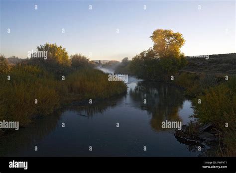 Willow Trees And Bushes Glint With Gold At Sunrise Over The Malheur