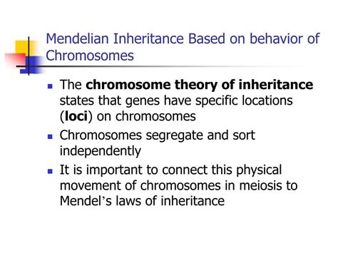 Ppt Chapter Chromosomal Basis Of Inheritance Powerpoint