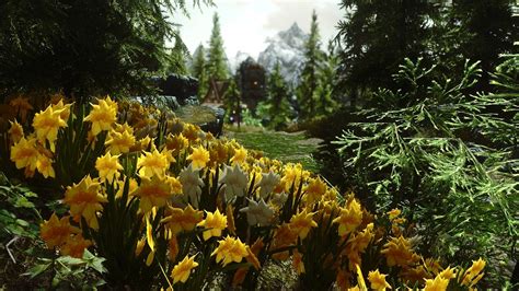 Flower Fields At Skyrim Nexus Mods And Community