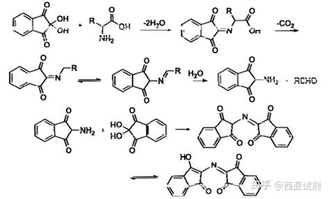茚三酮的显色反应 知乎