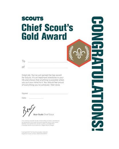 Scouts Trophies Awards