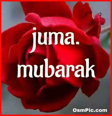 2019 New Jumma Mubarak Images Quotes Pics Dp Status For Whatsapp