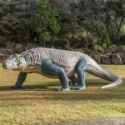 Megalania Megafauna Lizard Komodo Dragon Version Sculpture And Statue