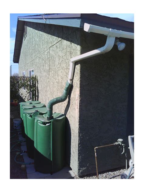 Top Fluoride-Free Water Options Near You: Where to Shop - Hunter Games Magazine