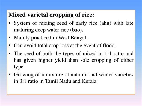 Rice Based Cropping System