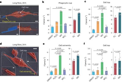 纳米人 武汉大学 厦门大学，nature Nanotechnology！