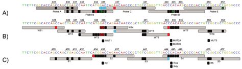 Overview Of Rifampicin Resistant Tuberculosis Rapid Diagnostic Test