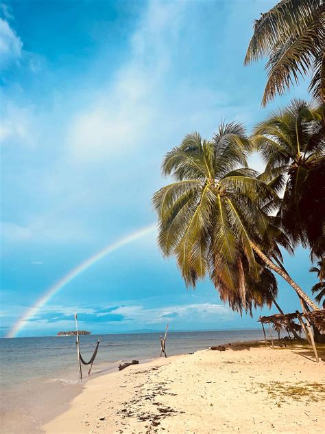 The Science Behind Mindset Coaching: Why It Works