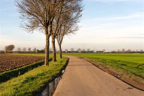 Curved Country Road With Mud And Puddles In A Dutch Polder Lands Stock