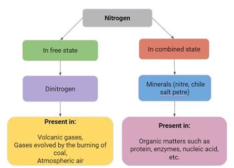 Uses Of Nitrogen