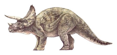 Jurassic Park Concept Art - Adult Triceratops by IndominusRex on DeviantArt