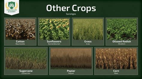 Farming Simulator 22 Different Crop Types Overview Guide