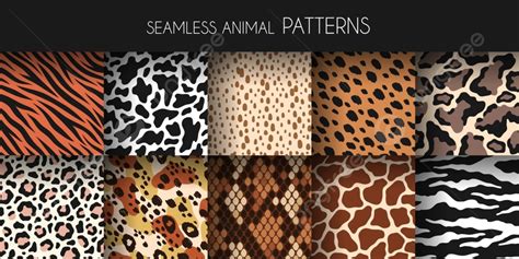 Animal Fur Seamless Patterns Template Download on Pngtree