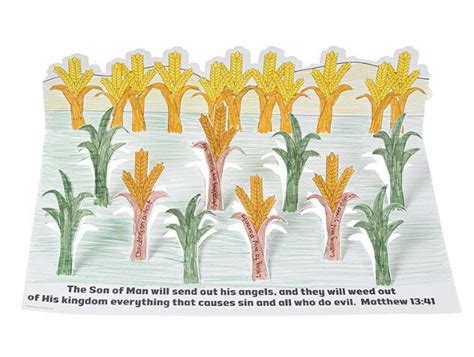 Parable of the Wheat & Tares Bible Parable Lessons for Kids