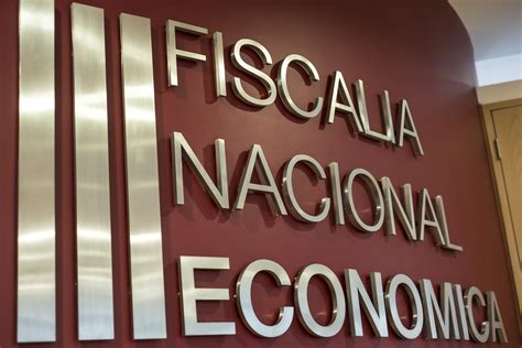 FNE pide al TDLC que limite participación de usuarios relevantes en la