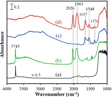 Ftir Spectra Of A Sio2 B Sio2 Re C Sio2 L And D Sio2 L Re Download Scientific