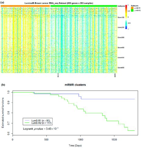 Two Subgroups Of Luminal B Breast Samples A A Partition Of 203