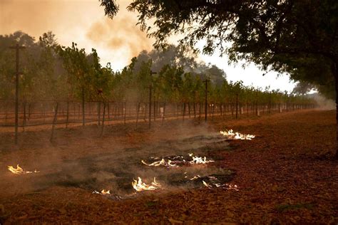 The List Of Napa Valley Wineries That Have Been Damaged Or Destroyed In