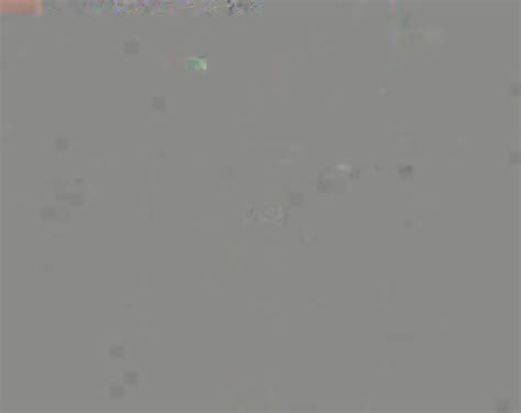 Ladyross Get Naked On Cam