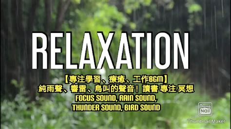 專注學習、療癒、工作 Relaxing Bgm 哔哩哔哩