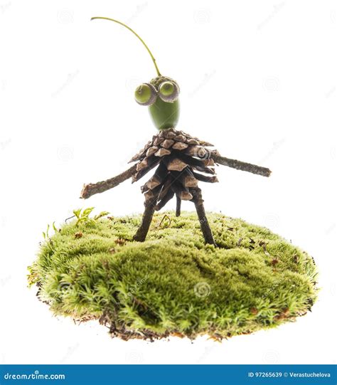 Creature Made from Natural Materials Stock Image - Image of face