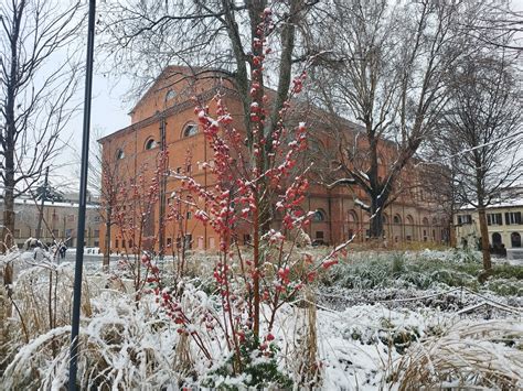 Comune di Rimini on Twitter Risveglio innevato a Rimini Sono già