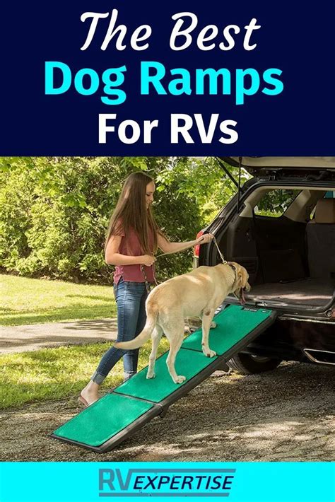 Best Dog Ramps For Rvs Buyers Guide Rv Expertise Dog Ramp Rv