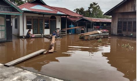 Daerah Pasang Surut Waspadai Banjir Kalteng Today