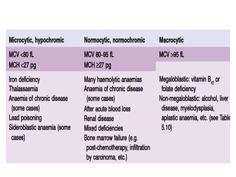 What Is Normocytic Normochromic Anemia