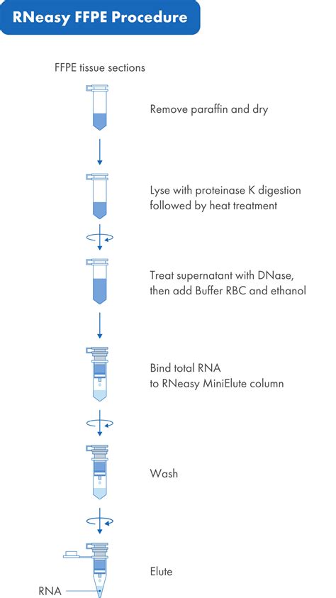 Rneasy Ffpe Kit Ffpe Tissue Rna Extraction Qiagen