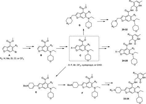 Scheme 2 Synthetic Summary Of Other Analogs Download Scientific Diagram