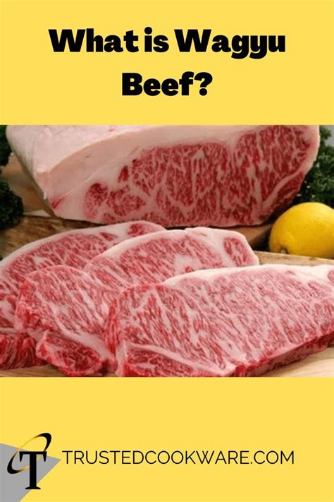 Wagyu Beef Explained Why Is Wagyu Beef So Special Artofit