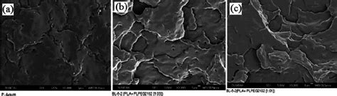 SEM pictures of (a) the pristine PLA, blends of PLA/PLA-b-PEG with the... | Download Scientific ...