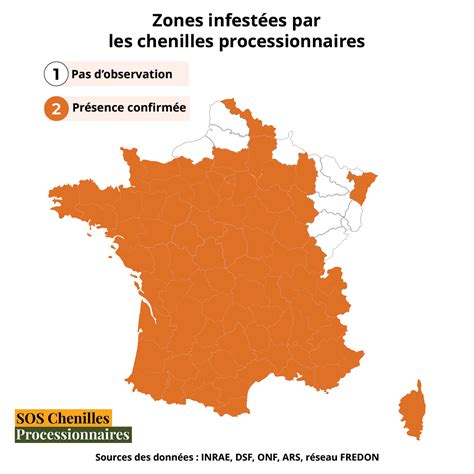 Carte présence des chenilles processionnaires en 2023