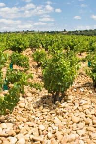 Vignerons du Mont Ventoux Méditerranée Viognier blanc 2018 1jour1vin