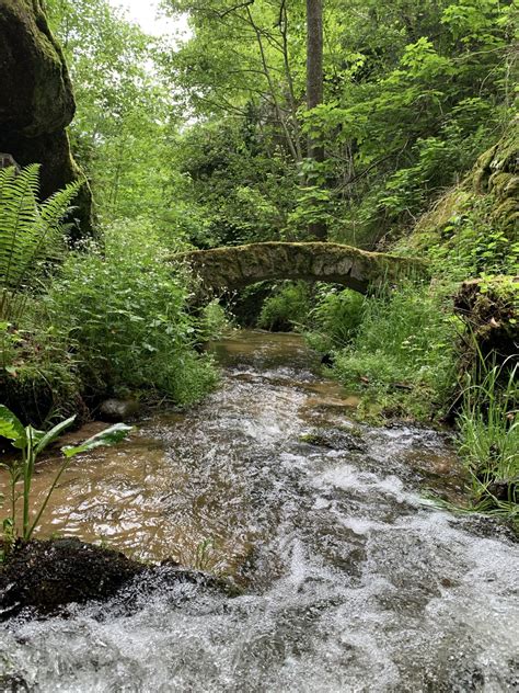 Des Balades Au Fil De L Eau Actualit S Moulin De Nouara